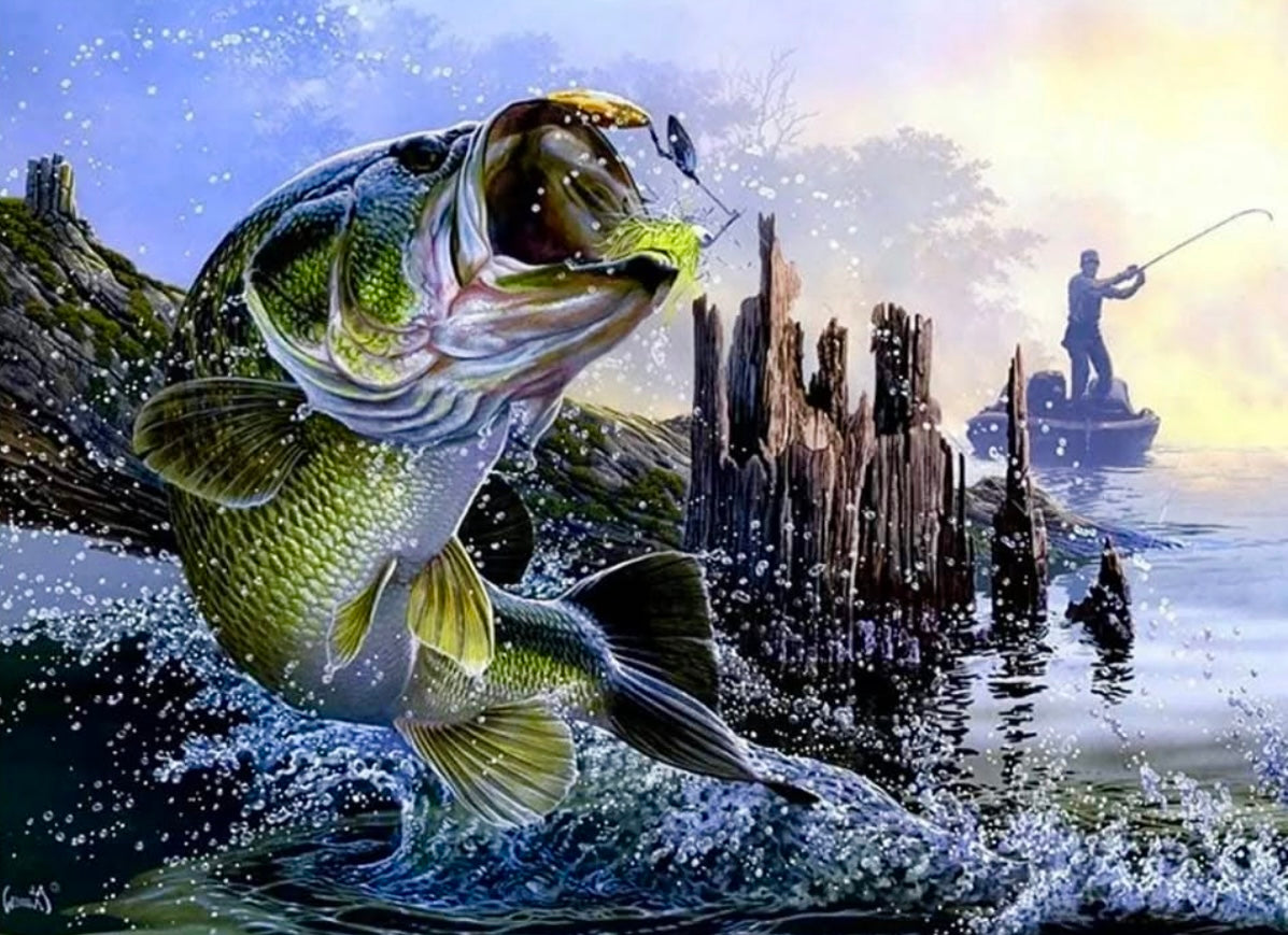 Bass Fishing 3D Flip Poster