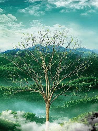 Tree of Life 3D Flip Poster