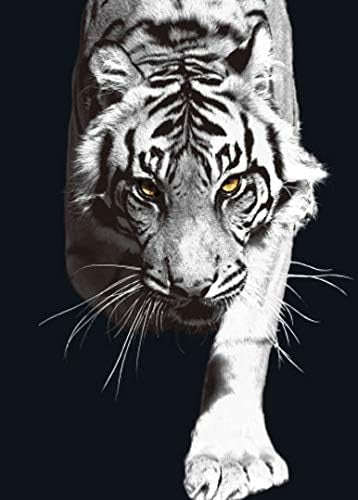 Big Cats 3D Flip Poster