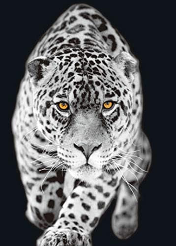 Big Cats 3D Flip Poster