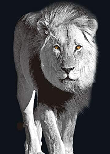 Big Cats 3D Flip Poster
