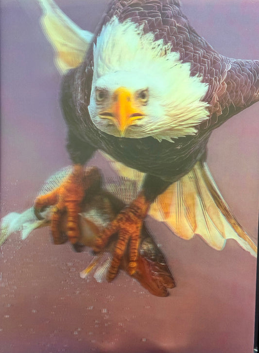 Eagle Holding Fish 3D Depth Poster