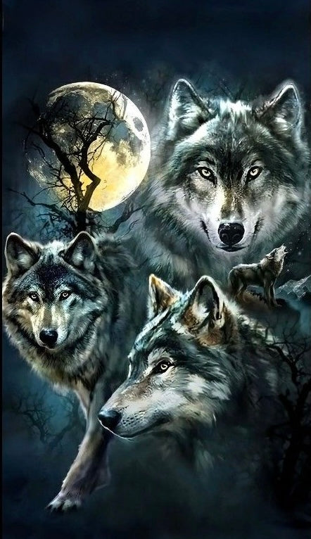 Wolves Under the Moon 3D Flip Poster