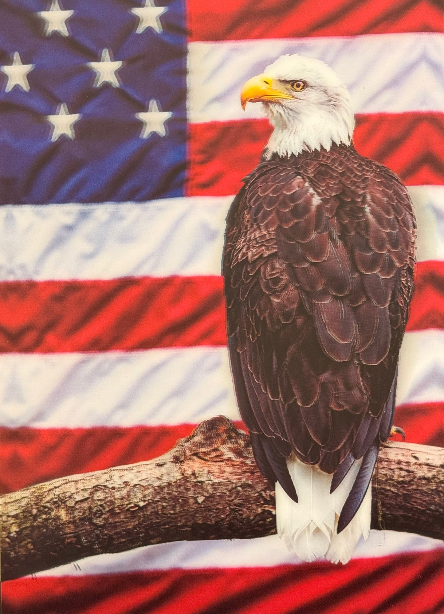 Eagle with American Flag 3D Depth Poster