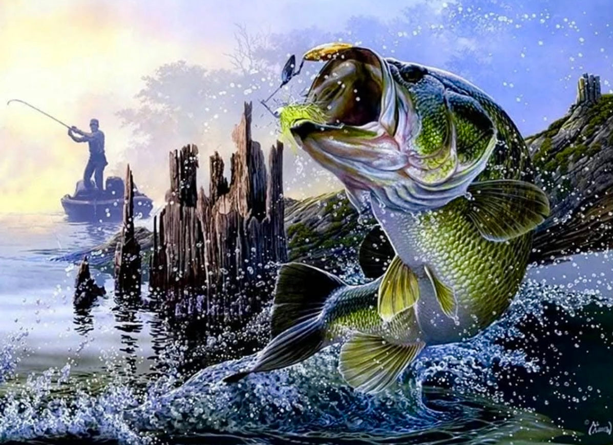 Bass Fishing 3D Flip Poster
