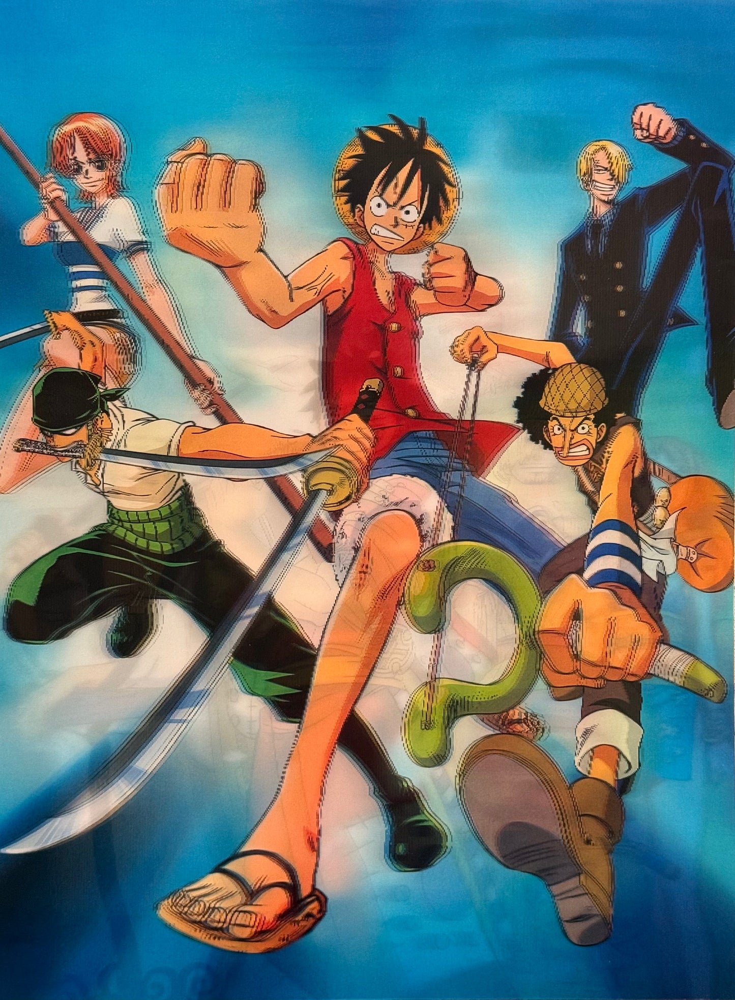 Straw Hat Crew 3D Flip Poster