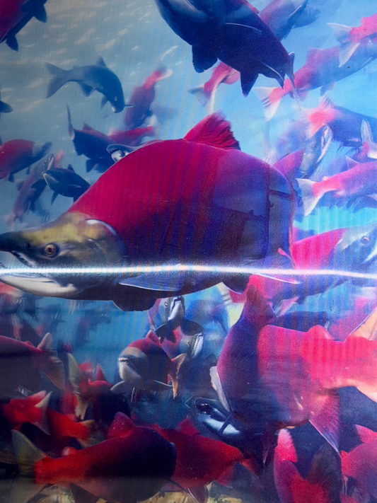 Salmon & Fishing Boat 3D Flip Poster